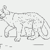 ocelot_lines Paint Version