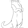 otter_trans