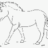 zebra_paint